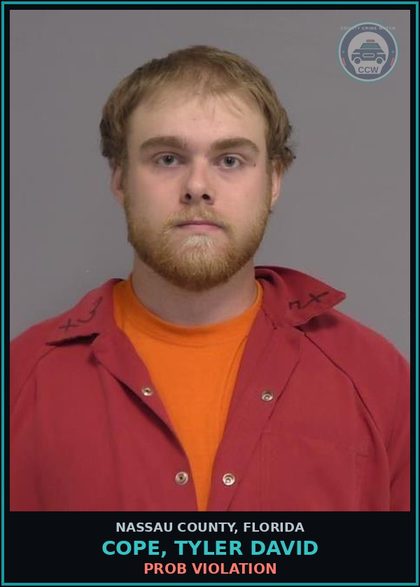 CCW arrest card for COPE, TYLER DAVID in Nassau County: PROB VIOLATION
