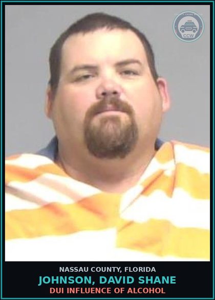 CCW arrest card for JOHNSON, DAVID SHANE in Nassau County: DUI INFLUENCE OF ALCOHOL
