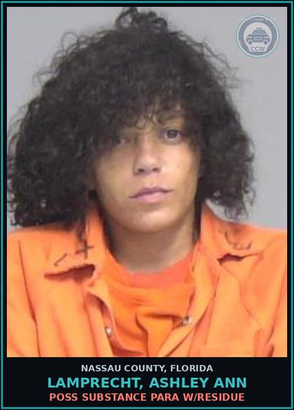 CCW arrest card for LAMPRECHT, ASHLEY ANN in Nassau County: POSSESS contr substance