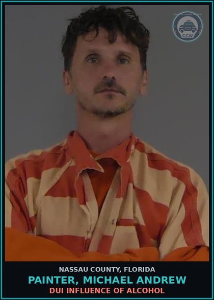 CCW arrest card for PAINTER, MICHAEL ANDREW in Nassau County: DUI INFLUENCE OF ALCOHOL