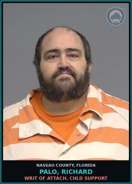 CCW arrest card for PALO, RICHARD in Nassau County: WRIT OF ATTACH. chld SUPPORT