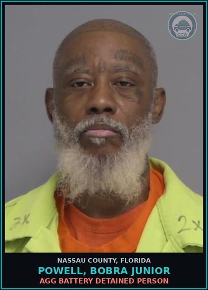 CCW arrest card for POWELL, BOBRA Junior in Nassau County: DEPRIVE LEO PROTCT/COMM.