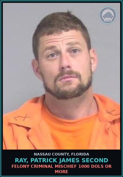 CCW arrest card for RAY, PATRICK JAMES Second in Nassau County: RECKLESS DRIVING 1ST OFF