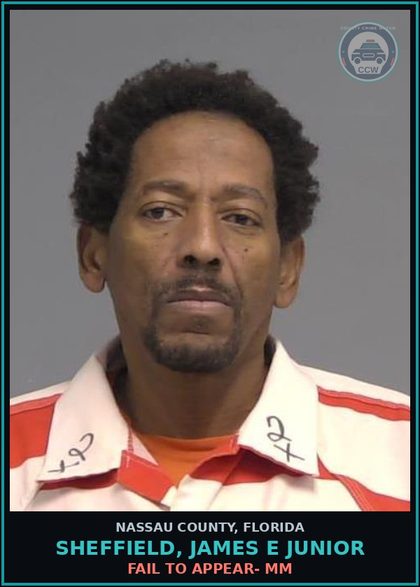 CCW arrest card for SHEFFIELD, JAMES E Junior in Nassau County: FAIL TO APPEAR- MM