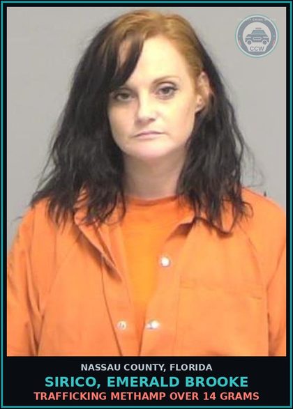 CCW arrest card for SIRICO, EMERALD BROOKE in Nassau County: TRAFFICKING METH OVER 14 GRAMS