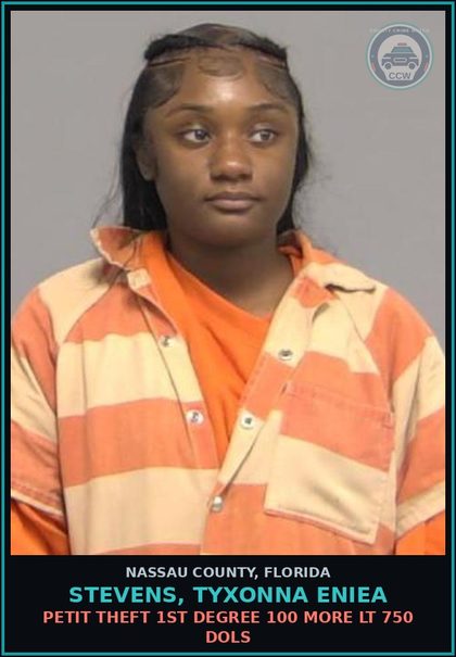 CCW arrest card for STEVENS, TYXONNA ENIEA in Nassau County: PETIT THEFT 1ST DEGREE 100 MORE LT 750 DOLS