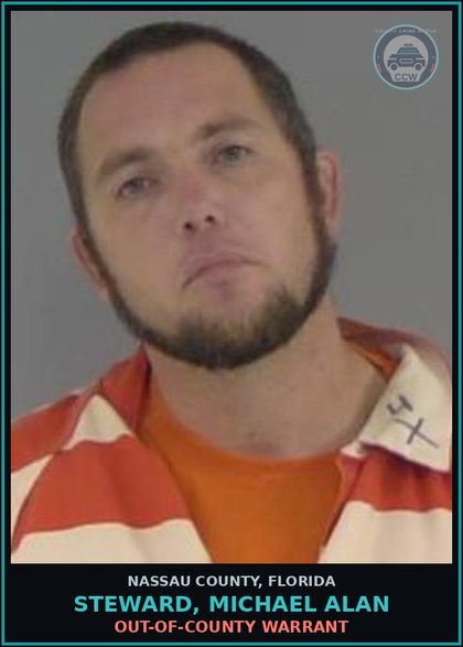 CCW arrest card for STEWARD, MICHAEL ALAN in Nassau County: OUT-OF-COUNTY WARRANT