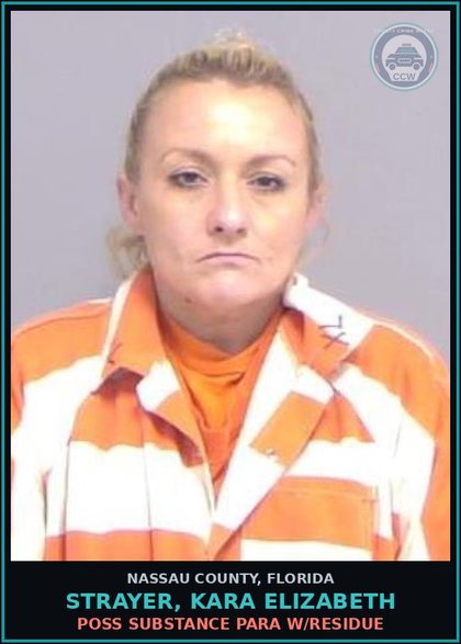 CCW arrest card for STRAYER, KARA ELIZABETH in Nassau County: FALSE NAME WHILE DETAINED