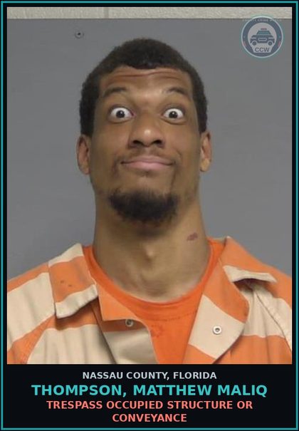 CCW arrest card for THOMPSON, MATTHEW MALIQ in Nassau County: TRESPASS OCCUPIED STRUCTURE OR CONVEYANCE