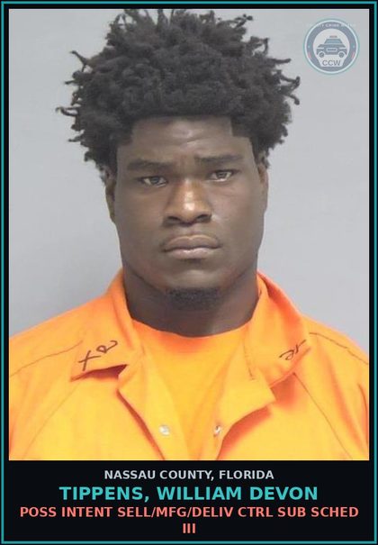 CCW arrest card for TIPPENS, WILLIAM DEVON in Nassau County: POSSESS contr substance