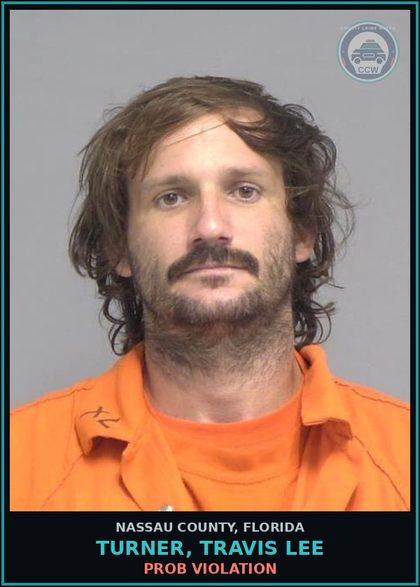CCW arrest card for TURNER, TRAVIS LEE in Nassau County: PROB VIOLATION