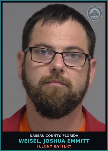 CCW arrest card for WEISEL, JOSHUA EMMITT in Nassau County: FELONY BATTERY