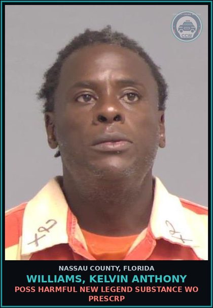 CCW arrest card for WILLIAMS, KELVIN ANTHONY in Nassau County: POSS HARMFUL NEW LEGEND DRUG WO PRESCRIPTION