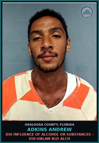 CCW arrest card for Adkins Andrew in Okaloosa County: DUI INFLUENCE OF ALCOHOL OR DRUGS - DUI-UNLAW BLD ALCH
