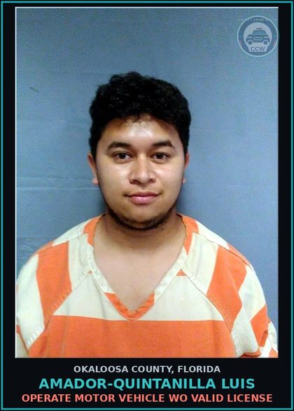 CCW arrest card for Amador-Quintanilla Luis in Okaloosa County, Florida: Operate Motor Vehicle Wo Valid License
