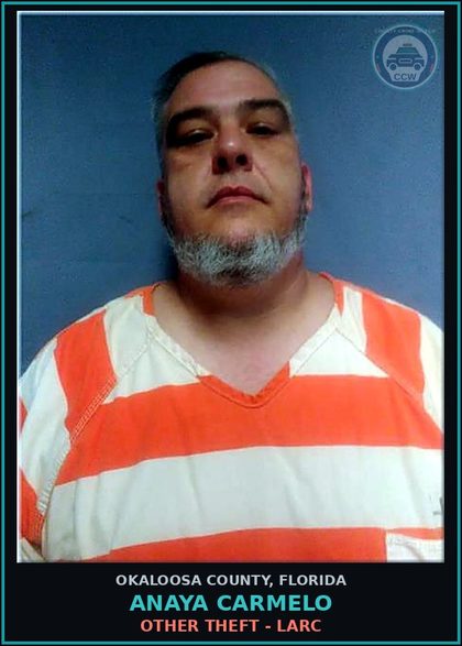 CCW arrest card for Anaya Carmelo in Okaloosa County: OTHER THEFT - LARC