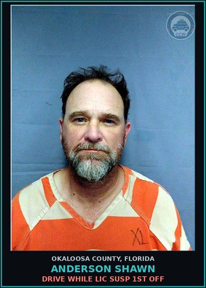 CCW arrest card for Anderson Shawn in Okaloosa County: Drive While Lic Susp 1St Off