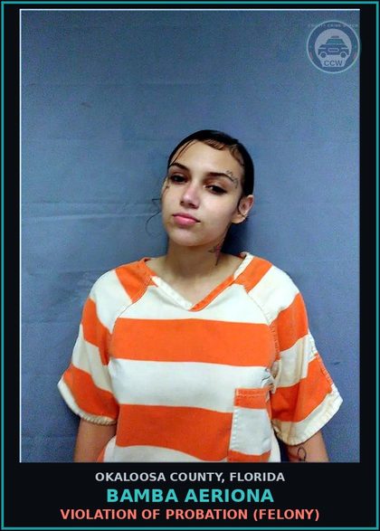 CCW arrest card for Bamba Aeriona in Okaloosa County: VIOLATION OF PROBATION (FELONY)