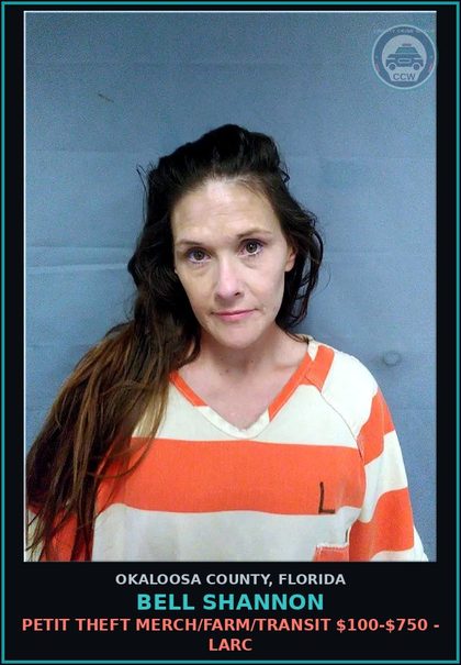 CCW arrest card for Bell Shannon in Okaloosa County: PETIT THEFT MERCH/FARM/TRANSIT $100-$750 - LARC