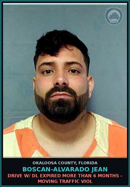 CCW arrest card for Boscan-Alvarado Jean in Okaloosa County: DRIVE W/ DL EXPIRED MORE THAN 6 MONTHS - MOVING TRAFFIC VIOL
