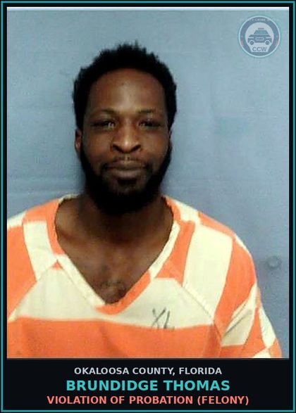 CCW arrest card for Brundidge Thomas in Okaloosa County: VIOLATION OF PROBATION (FELONY)