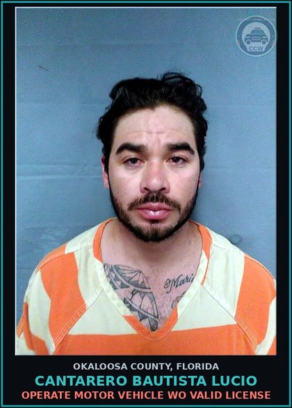 CCW arrest card for Cantarero Bautista Lucio in Okaloosa County: Operate Motor Vehicle Wo Valid License