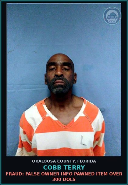 CCW arrest card for Cobb Terry in Okaloosa County: FRAUD: FALSE OWNER INFO PAWNED ITEM OVER 300 DOLS