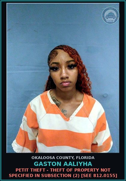 CCW arrest card for Gaston Aaliyha in Okaloosa County: Petit theft - Theft of property not specified in subsection (2) [See 812.0155]