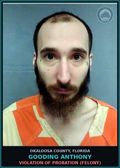 CCW arrest card for Gooding Anthony in Okaloosa County: VIOLATION OF PROBATION (FELONY)