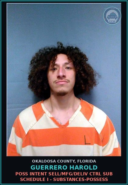 CCW arrest card for Guerrero Harold in Okaloosa County: Or Ammo By Convicted Fla Felon
