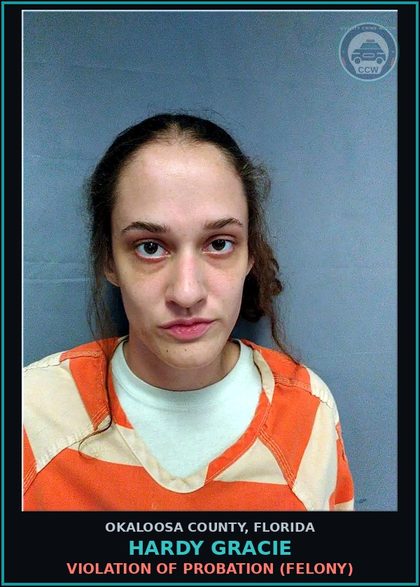 CCW arrest card for Hardy Gracie in Okaloosa County: VIOLATION OF PROBATION (FELONY)