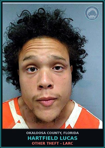 CCW arrest card for Hartfield Lucas in Okaloosa County: OTHER THEFT - LARC