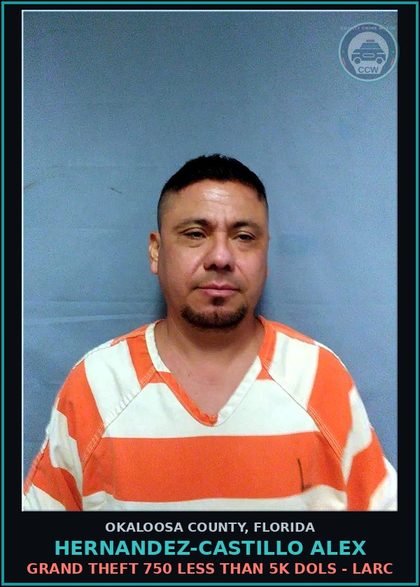 CCW arrest card for Hernandez-Castillo Alex in Okaloosa County: GRAND THEFT 750 LESS THAN 5K DOLS - LARC