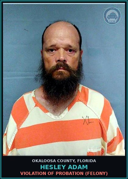 CCW arrest card for Hesley Adam in Okaloosa County: VIOLATION OF PROBATION (FELONY)