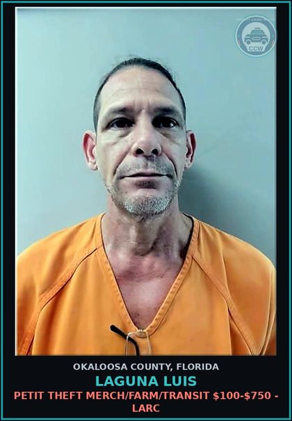 CCW arrest card for Laguna Luis in Okaloosa County: PETIT THEFT MERCH/FARM/TRANSIT $100-$750 - LARC