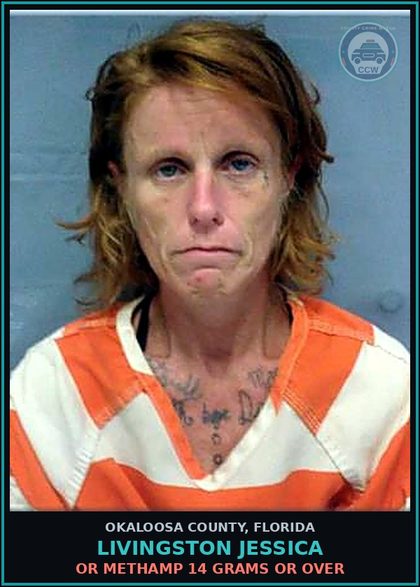 CCW arrest card for Livingston Jessica in Okaloosa County: Or Methamp 14 Grams Or Over