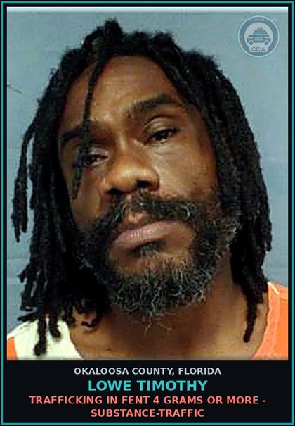 CCW arrest card for Lowe Timothy in Okaloosa County: Wit Sell Mfg Deliv Etc Schedule Ii