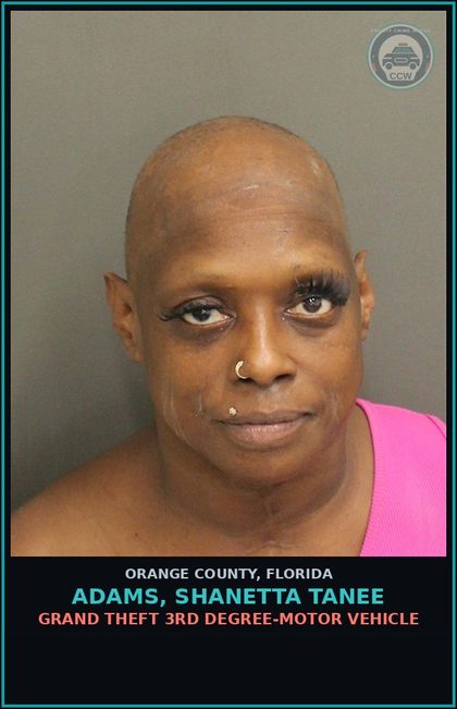 CCW arrest card for ADAMS, SHANETTA TANEE in Orange County: GRAND THEFT 3RD DEGREE-MOTOR VEHICLE
