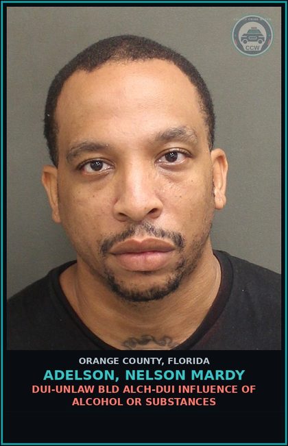 CCW arrest card for ADELSON, NELSON MARDY in Orange County: PETIT THEFT