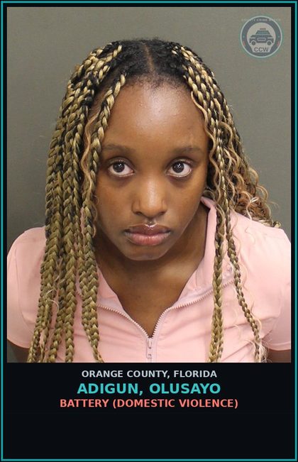 CCW arrest card for ADIGUN, OLUSAYO in Orange County: BATTERY (DOMESTIC VIOLENCE)