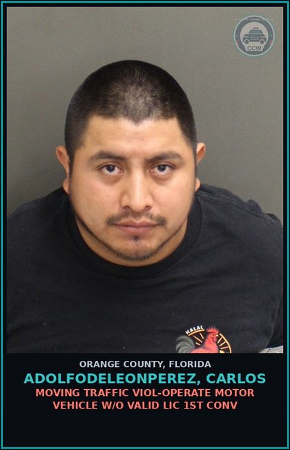 CCW arrest card for ADOLFODELEONPEREZ, CARLOS in Orange County: MOVING TRAFFIC VIOL-OPERATE MOTOR VEHICLE W/O VALID LIC 1ST CONV