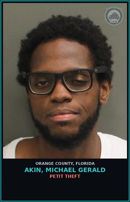 CCW arrest card for AKIN, MICHAEL GERALD in Orange County: PETIT THEFT