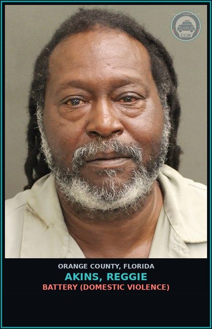 CCW arrest card for AKINS, REGGIE in Orange County: BATTERY (DOMESTIC VIOLENCE)
