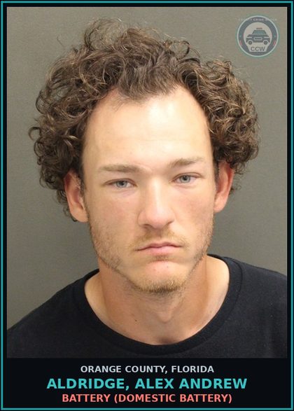 CCW arrest card for ALDRIDGE, ALEX ANDREW in Orange County: BATTERY (DOMESTIC BATTERY)