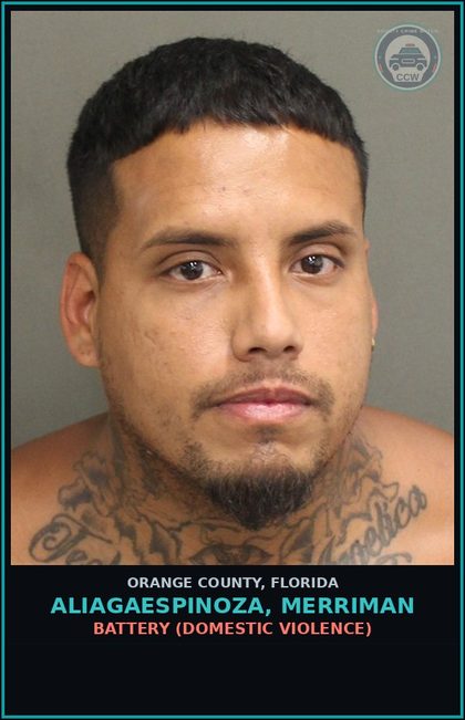 CCW arrest card for ALIAGAESPINOZA, MERRIMAN in Orange County: BATTERY (DOMESTIC VIOLENCE)