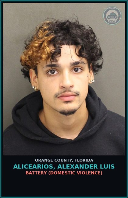 CCW arrest card for ALICEARIOS, ALEXANDER LUIS in Orange County: BATTERY (DOMESTIC VIOLENCE)