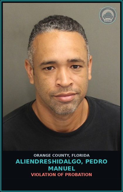 CCW arrest card for ALIENDRESHIDALGO, PEDRO MANUEL in Orange County: VIOLATION OF PROBATION