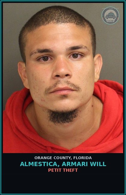 CCW arrest card for ALMESTICA, ARMARI WILL in Orange County: PETIT THEFT