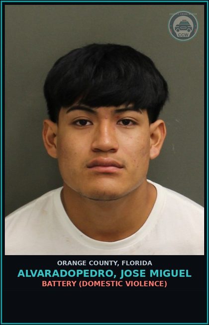 CCW arrest card for ALVARADOPEDRO, JOSE MIGUEL in Orange County: BATTERY (DOMESTIC VIOLENCE)
