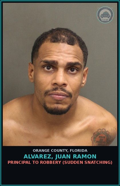 CCW arrest card for ALVAREZ, JUAN RAMON in Orange County: BATTERY (DOMESTIC VIOLENCE)